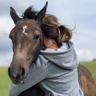 Někdy se narodí zlato, jindy Karmín! Tak jako tak, se to malé koňské mládě pro vás stane klenotem 😍. Jako u nás. Součástí...